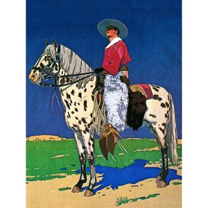 horse hat bolsa