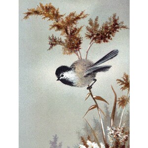 Chickadee Greeting Card - Gift for Birder - Bird Perches in the Snow Notecard