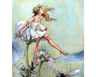 Flower Fairy Card - Faerie Princess Sits on Daisy with Bee - Repro Florence Anderson