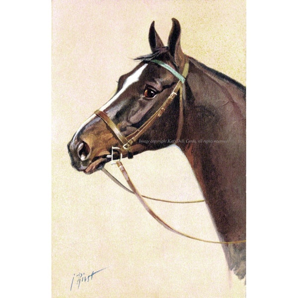 Horse Greeting Card - English Hunter Under Saddle D Ring Bit - Rivst Image