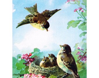 Bird Card - Papa Feeds Babies - Gift for Birder