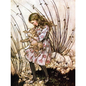 Alice in Wonderland Print - The Piglet Baby - oArthur Rackham Artwork