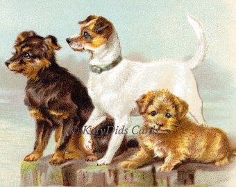 Terrier Dogs Card - Jack Russell Terrier Note Card - Little Pups Greeting Card