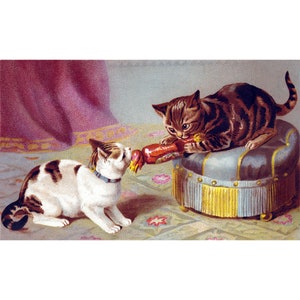 Kittens Christmas Card - Cats Fight Over Christmas Cracker - Holiday Decor