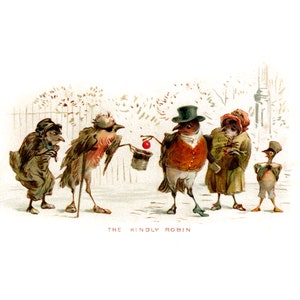 Christmas Birds Card - Kindly Robin Donates to Poorer Bird - Holiday Decor