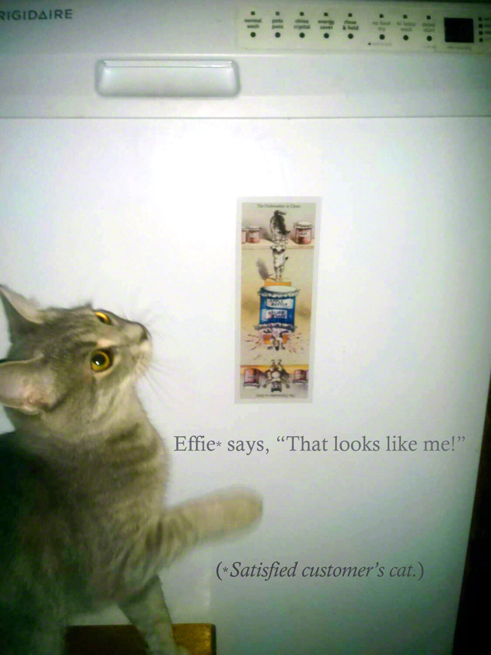 Clean Dirty Dishwasher Naughty Kittens Fall Into Jam Etsy