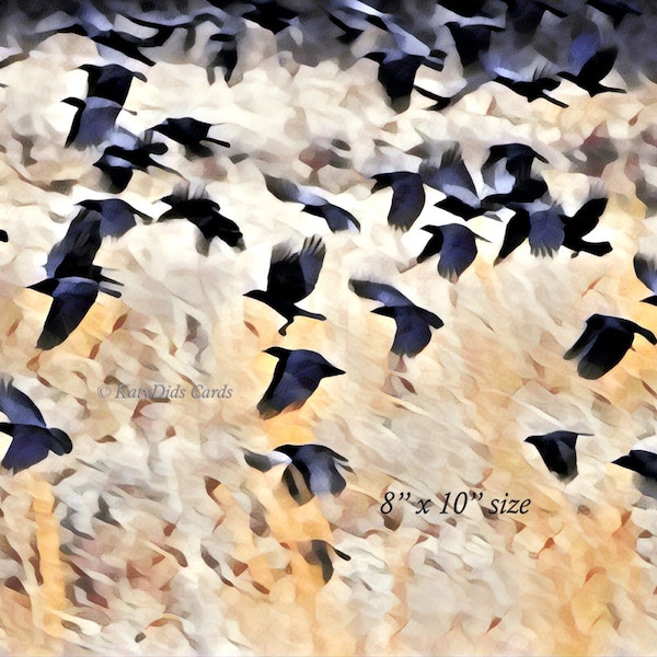 Crow Photo Print - Crows in the South Pasture - Wall Art Artwork