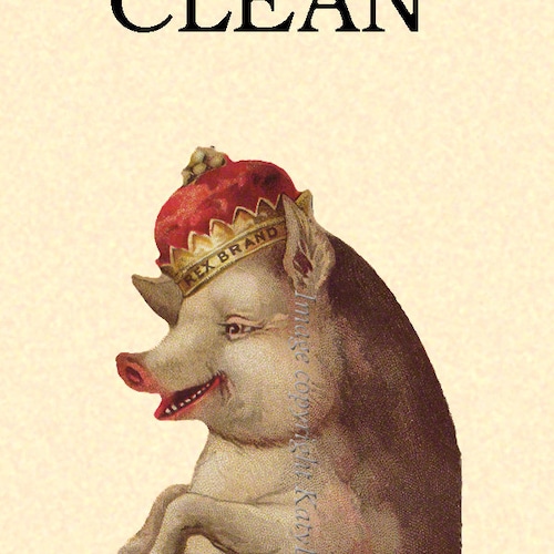 Clean Dirty Dishwasher Pig With a Crown Rex Pig Etsy