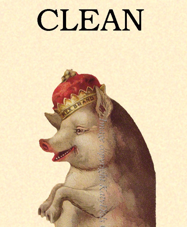 Clean Dirty Dishwasher Magnet Pig With a Crown Rex Pig - Etsy