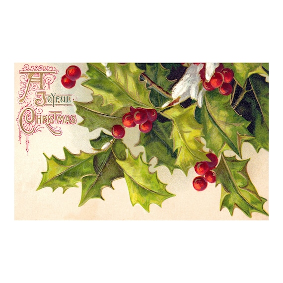 Christmas Pine and Holly Mini Cards, small set - The Painted Pen