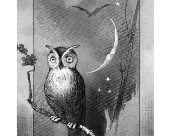 Owl Bookplates - Self Stick or Acid Free - Owl and Bat Under Crescent Moon - Vintage Style