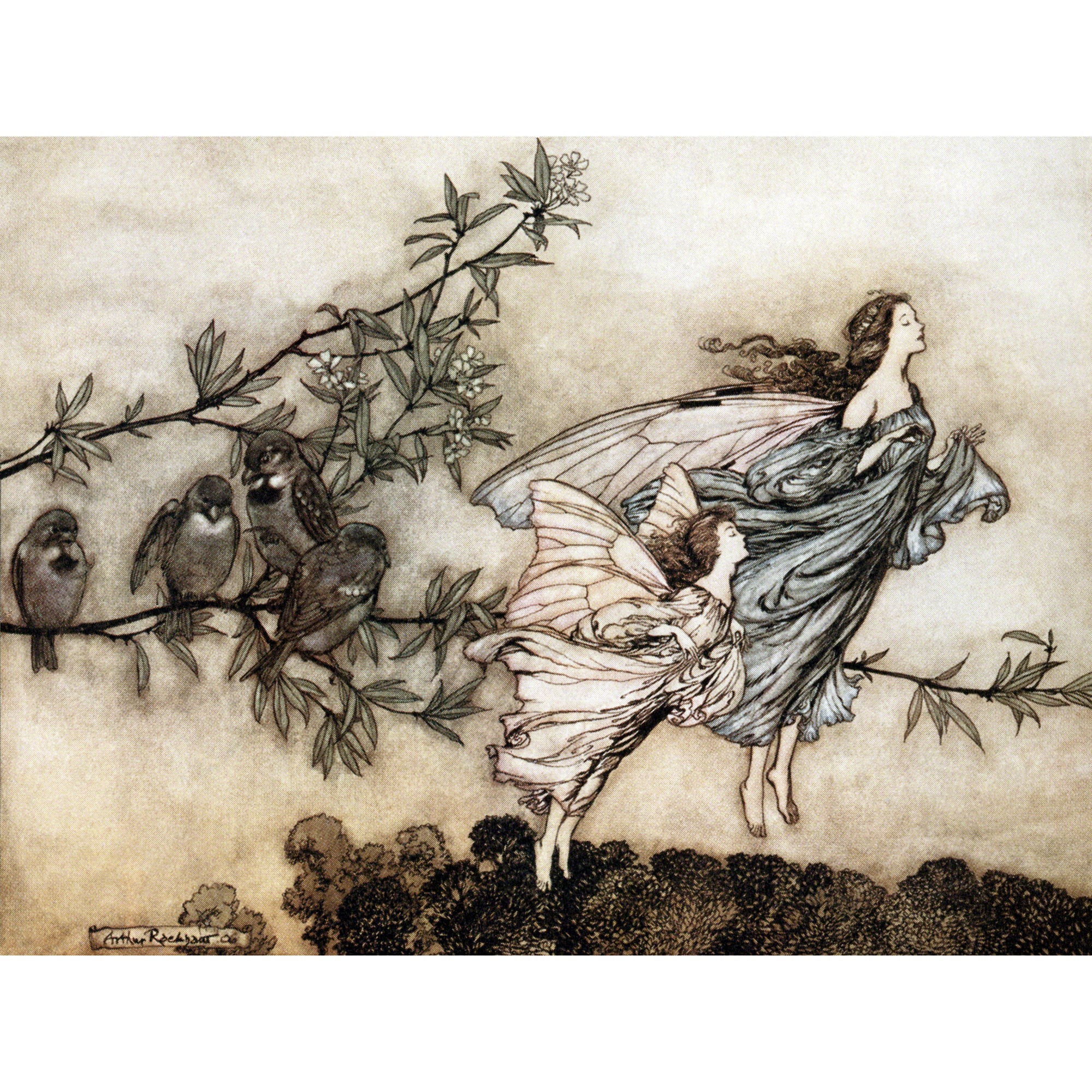 Fairy Card - Fairies Have Tiffs with Birds - Arthur Rackham Artwork
