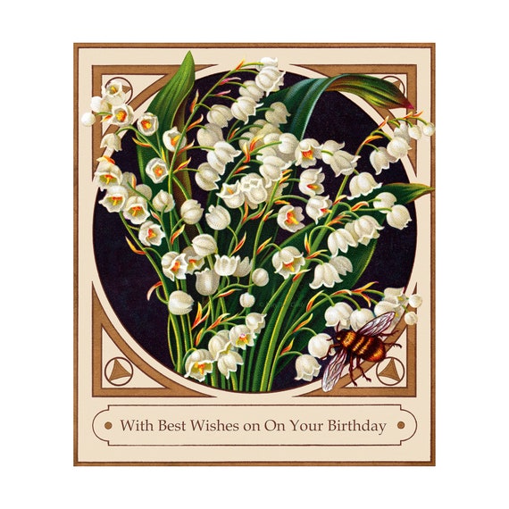 Fairy Fae Greetings Card - Bee Fairy Fae Greetings Card - Bee