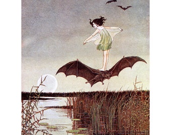 Fairy Card - The Witch's Sister Rides a Bat - Fae Notecard - Repro Ida Rentoul Outhwaite