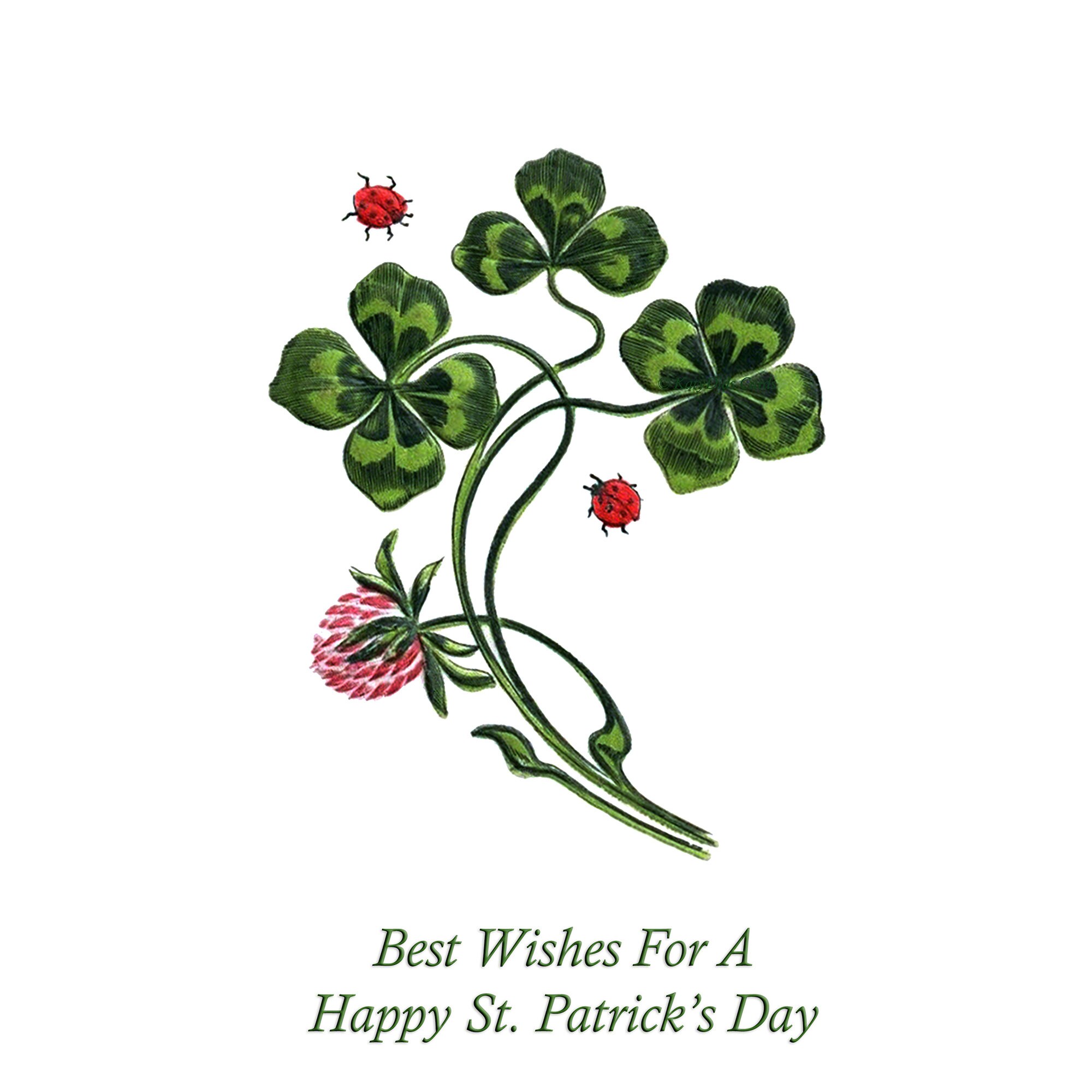 NEW ST PATRICKS DAY CLOVER GEMSTONE STICKERS X 2 PACKS FREE SHIP