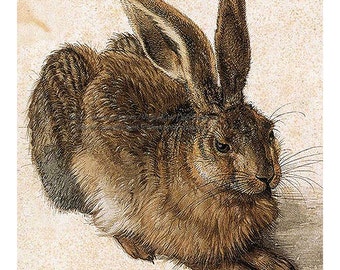 Bunny Rabbit 5 x 7 Print - Albrecht Durer Hare Repro Print - Vintage Style Rabbit Art