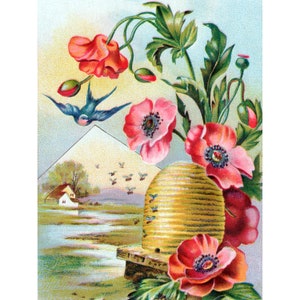Flowers and Birds and Bees Card - Red Poppies Swallows and Hive Skep - Vintage Style