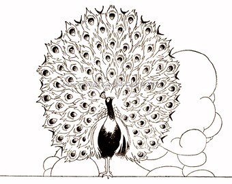 Peacock Card - Bird Notecard - Charles Robinson Artwork