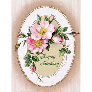 Birthday Card - Hedge Roses Flowers - Floral Notecard