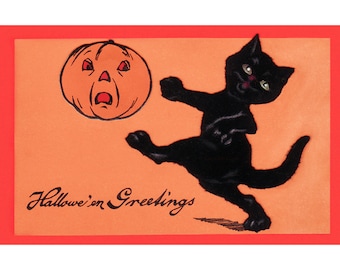 Halloween Card - Cat Kicks Pumpkin Jack O Lantern - Repro Greeting Card