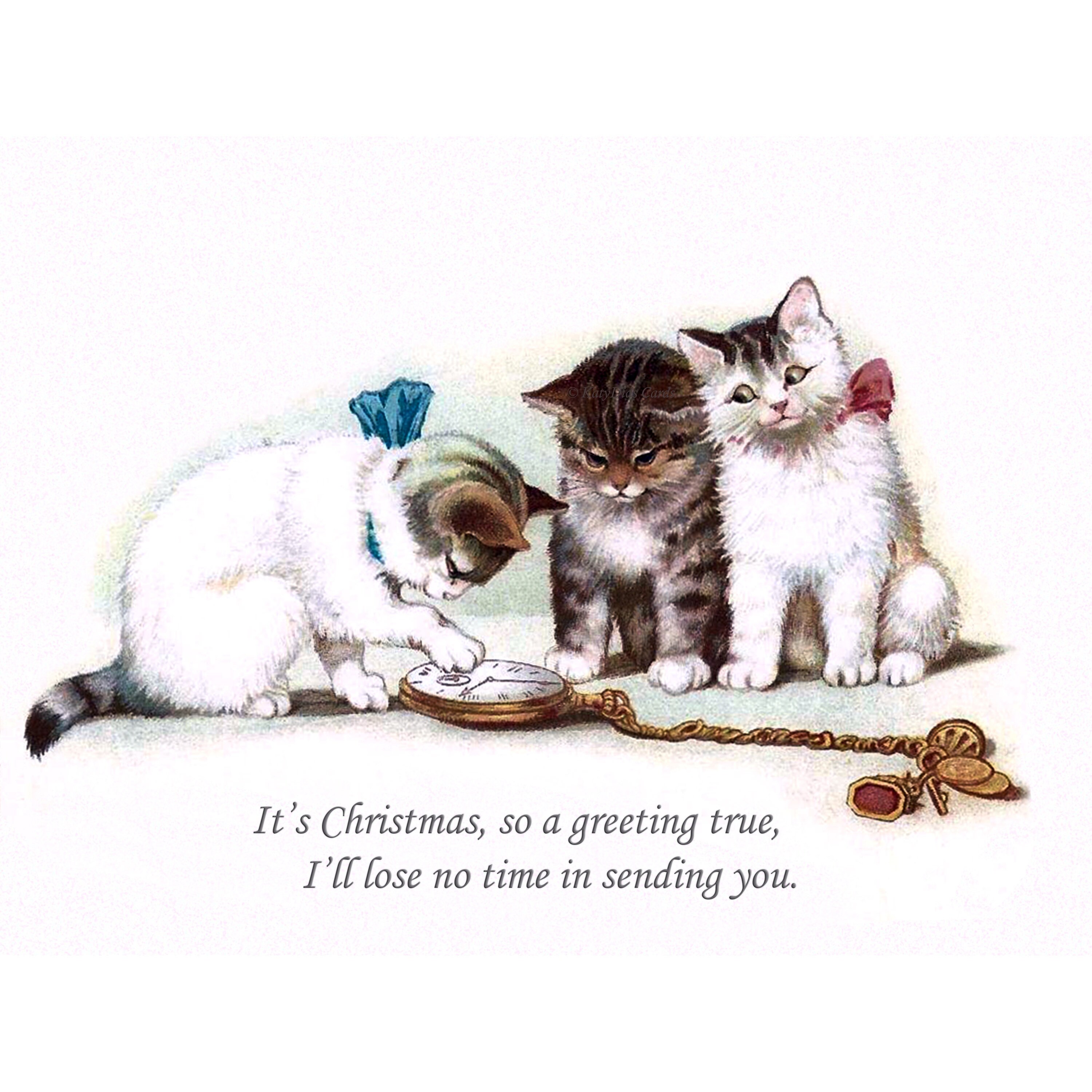 Cat Christmas Gift Card by Printable Lisa's Pets Fine Art Paper Poster (styles > Decorative Art > Holiday Décor > Christmas art) - 24x16x.25