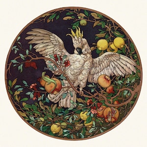 Cockatoo Parrot Card Watches Lizard Fruit Trees - Repro George Sturm