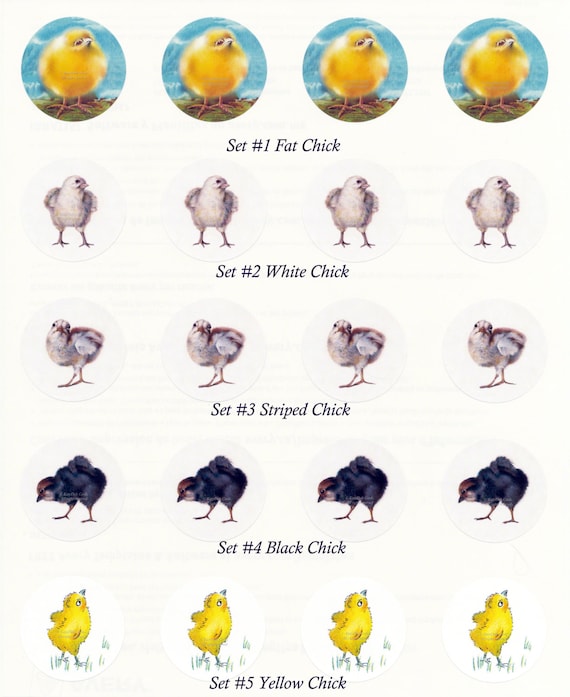 Yellow Chick Sticker Set Yellow Chick Sticker Set