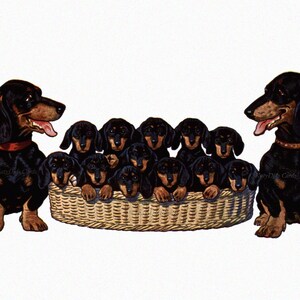 Dachshund Greeting Card - Mom and Pop Dogs with Pups - Weiner Dog Artwork