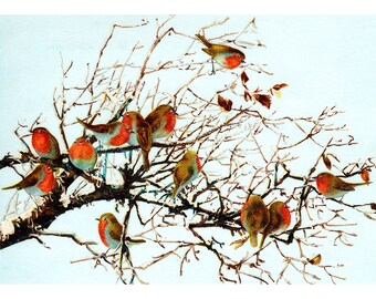 Christmas Birds Card - Robins Flock in a Tree - Christmas Greeting Card