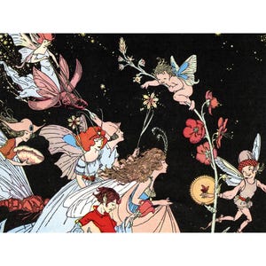 Fairy Card - Fairies Ride Bugs - Assembling of the Fae - Wall Art Home Decor