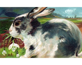 Easter Bunny Notecard - Rabbit w Snowdrops - Bunny Art - Holiday Gift