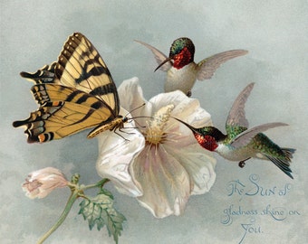 Hummingbirds Butterfly Card - Hibiscus Flower - Bird Greeting Card