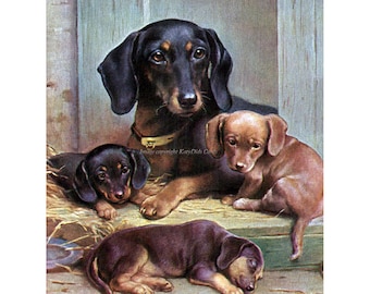 Dachshund Card - Mother Dog with Puppies Notecard