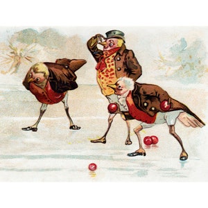 Christmas Card - Birds Bowl with Berries on Frozen Pond - Holiday Decor