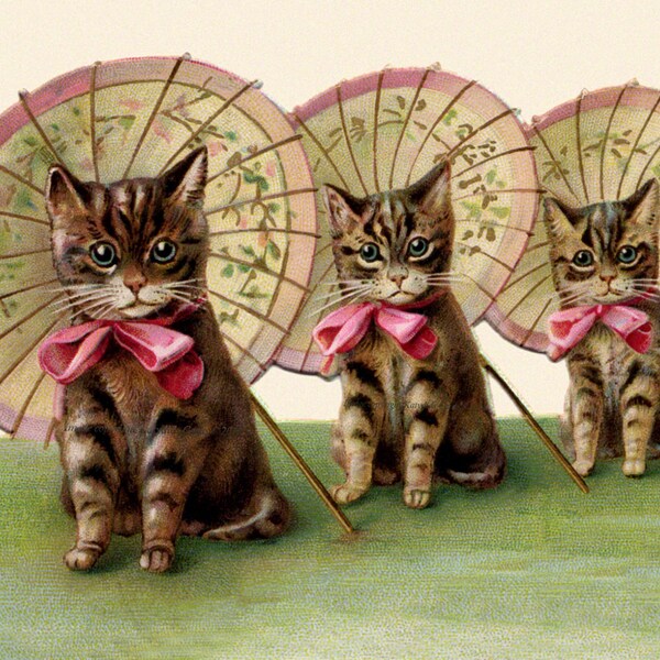 Victorian Cat Etsy