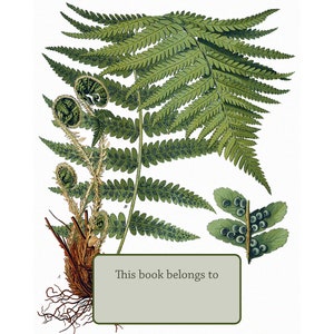 Medicinal Plants Bookplates - Self Stick or Acid Free - Fern
