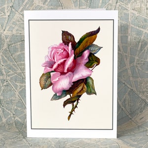 Rose Greeting Card Vintage Victorian Style Pink Roses Artwork image 2