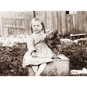 Chicken Girl Card - Hugs Rooster - Repro Greeting Card Dominique Bird