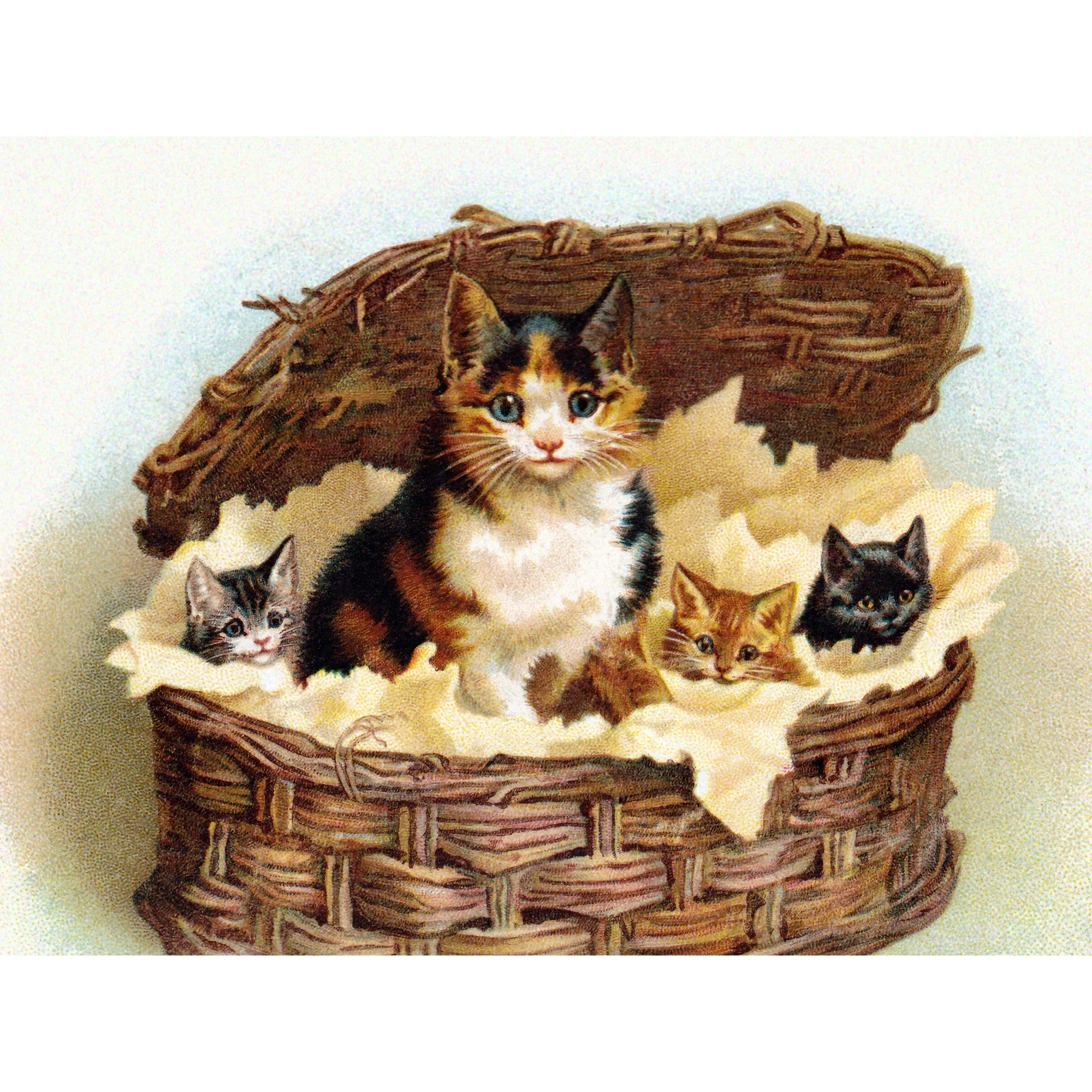Котята в корзинке