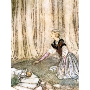 Fairy Print - Princess and the Frog Prince Story - Arthur Rackham