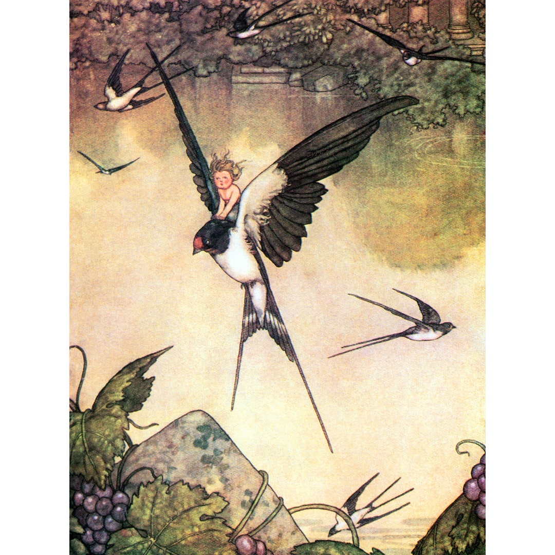 Thumbelina Rides Swallow Card Hans Christian Andersen Fairy Tale Heath