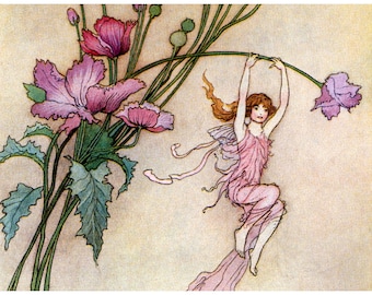 Flower Fairy Card - Fairies Play on Pink Flowers - Repro Warwick Goble Vintage Style Notecard