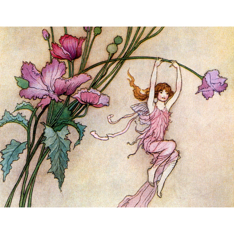 Flower Fairy Card Fairies Play on Pink Flowers Repro Warwick Goble Vintage Style Notecard image 1