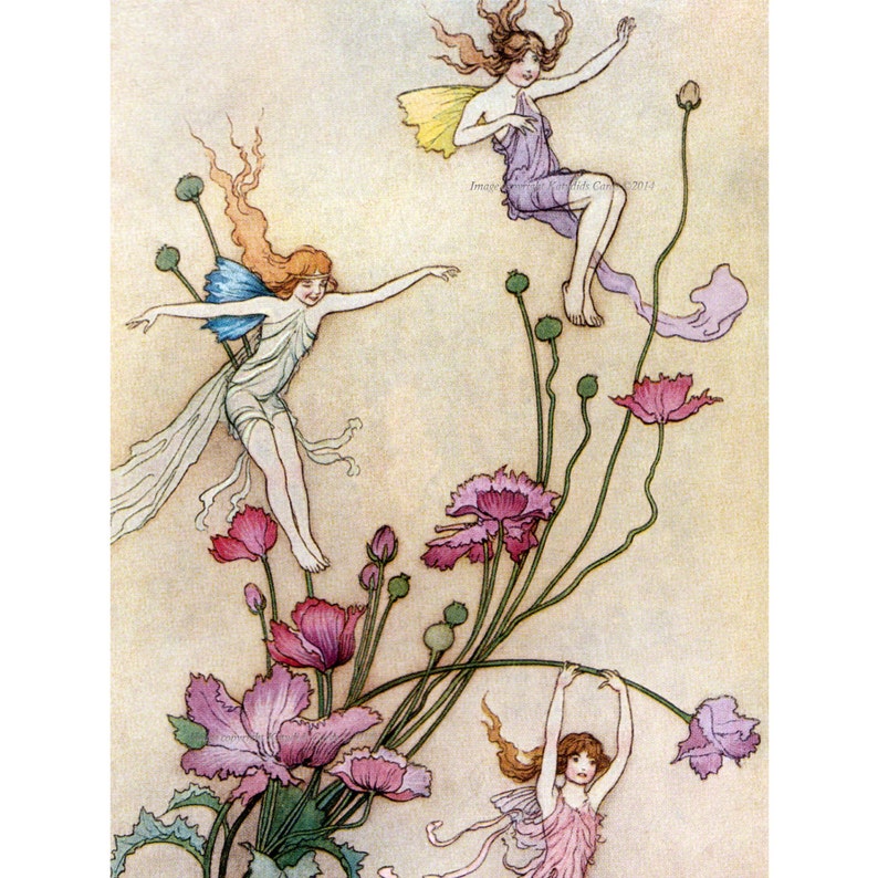 Flower Fairy Print Fairies Play on Pink Flowers Warwick Goble image 1