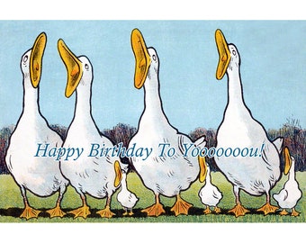 Birthday Card - Silly Geese and Ducks Sing the Birthday Song