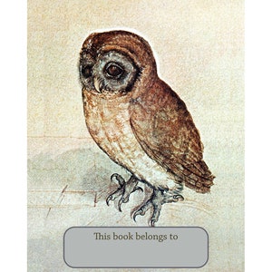 Owl Bookplates - Bird Book Plates - Self Stick or Acid Free - Repro Albrecht Durer