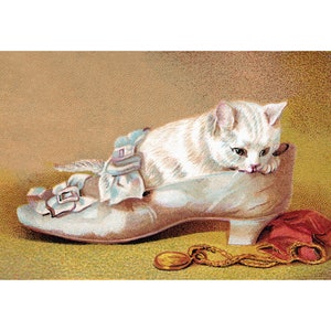 Kitten in Shoe Card - White Cat - Gift for Cat Lover