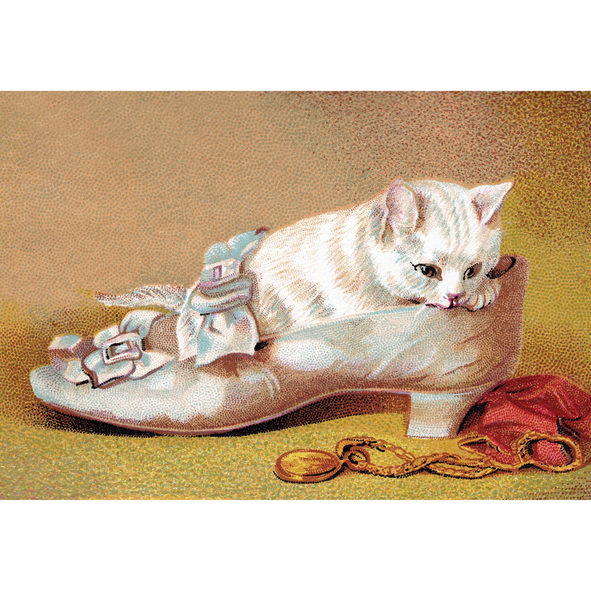 Cats Wearing Shoes