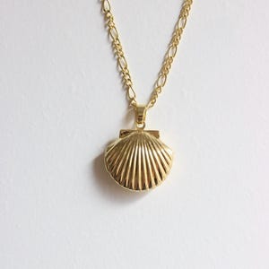 May include: A gold-colored necklace featuring a seashell pendant. The pendant has a detailed, ridged design, and the chain is a delicate link style. The necklace is displayed against a plain white background, highlighting its elegant simplicity.