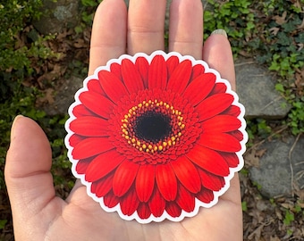 STICKER - Red Daisy.  Original fan art, Billy Strings inspired.  BMFS.